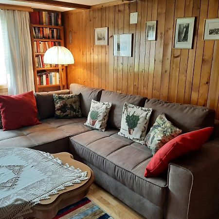 Chalet Am Fels Innertkirchen Εξωτερικό φωτογραφία