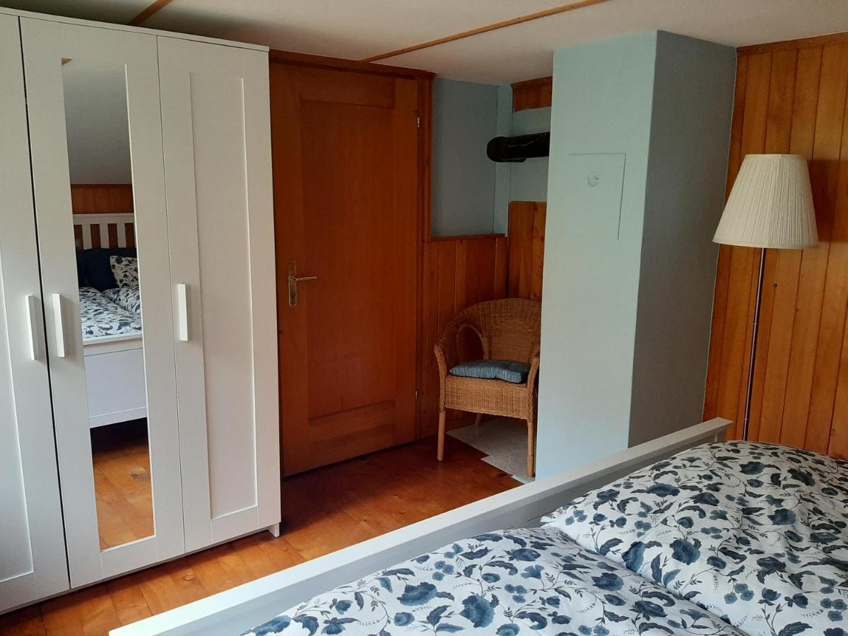Chalet Am Fels Innertkirchen Εξωτερικό φωτογραφία
